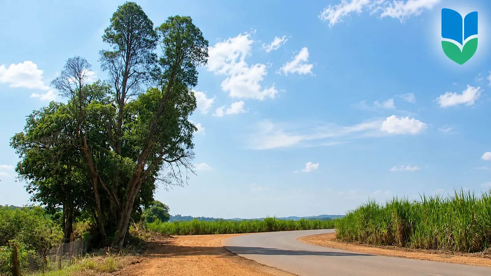 Manutenção na Rodovia Otávio Pilon avança em Cesário Lange e reforça segurança n - Cidade em Cesário Lange