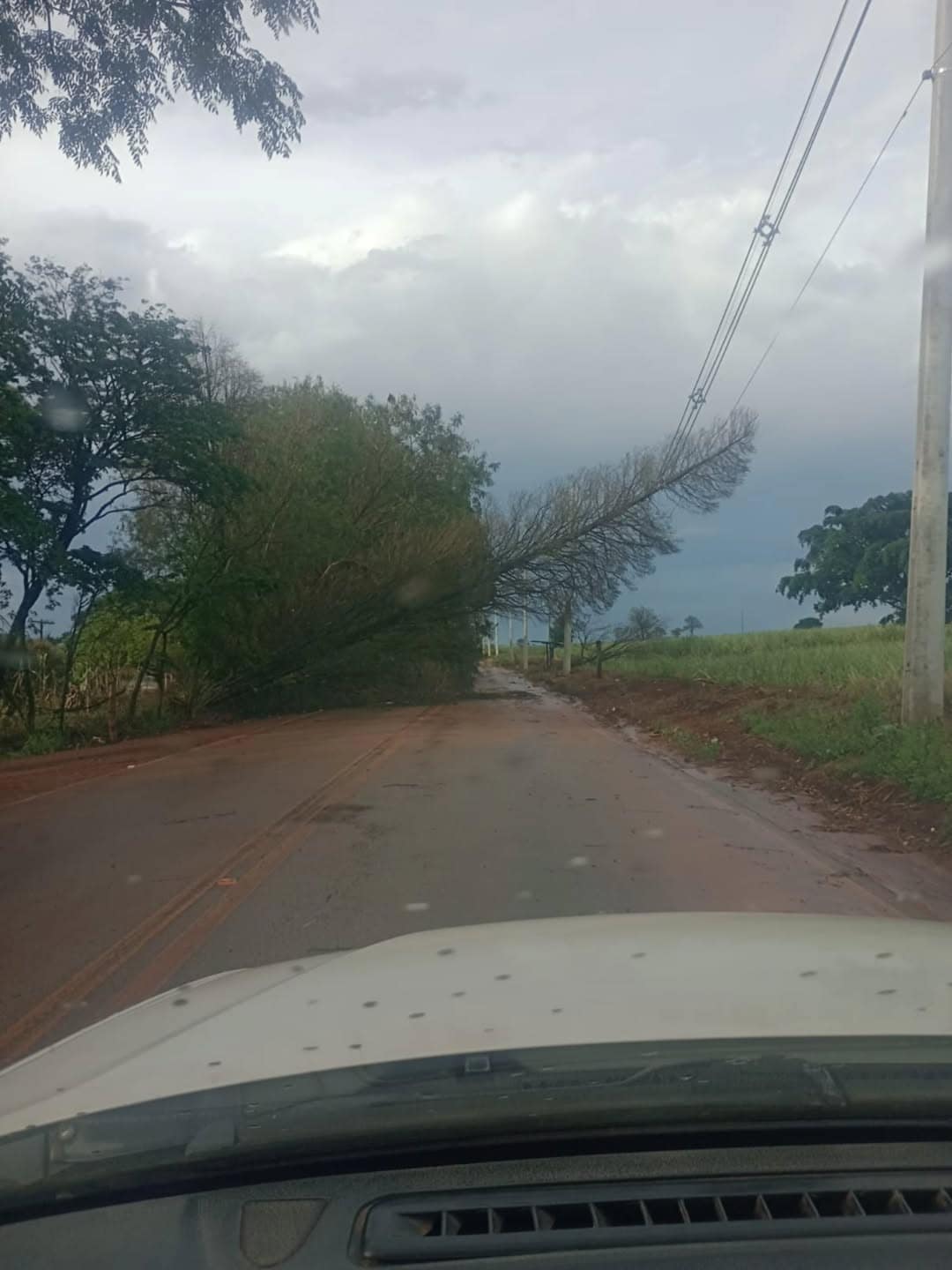 Fortes chuvas atingem Cesário Lange; Defesa Civil e Prefeitura atuam em diversos - Cidade em Cesário Lange