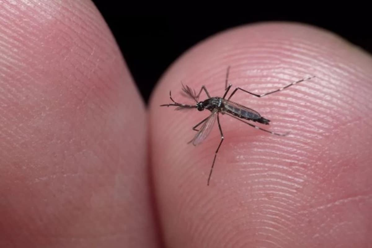 Cesário Lange reforça ações contra a dengue e aposta na prevenção para evitar no - Saúde em Cesário Lange