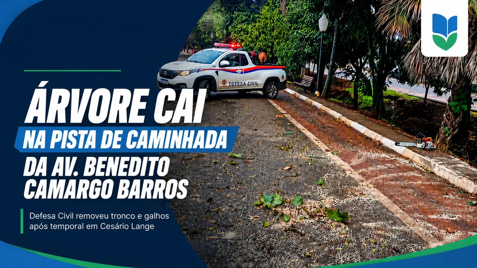 Árvore cai na pista de caminhada da Av. Benedito Camargo Barros em Cesário Lange - Cidade em Cesário Lange