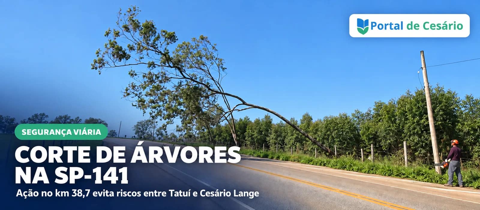 Defesa Civil agiliza corte de árvores na SP-141 entre Tatuí e Cesário Lange - Cidade em Cesário Lange