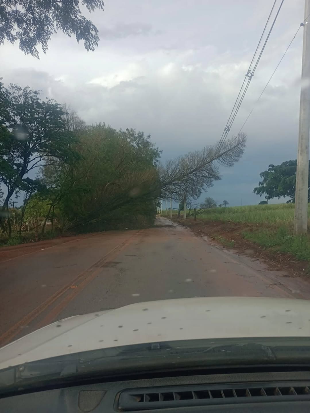 Fortes chuvas atingem Cesário Lange; Defesa Civil e Prefeitura atuam em diversos pontos da cidade
