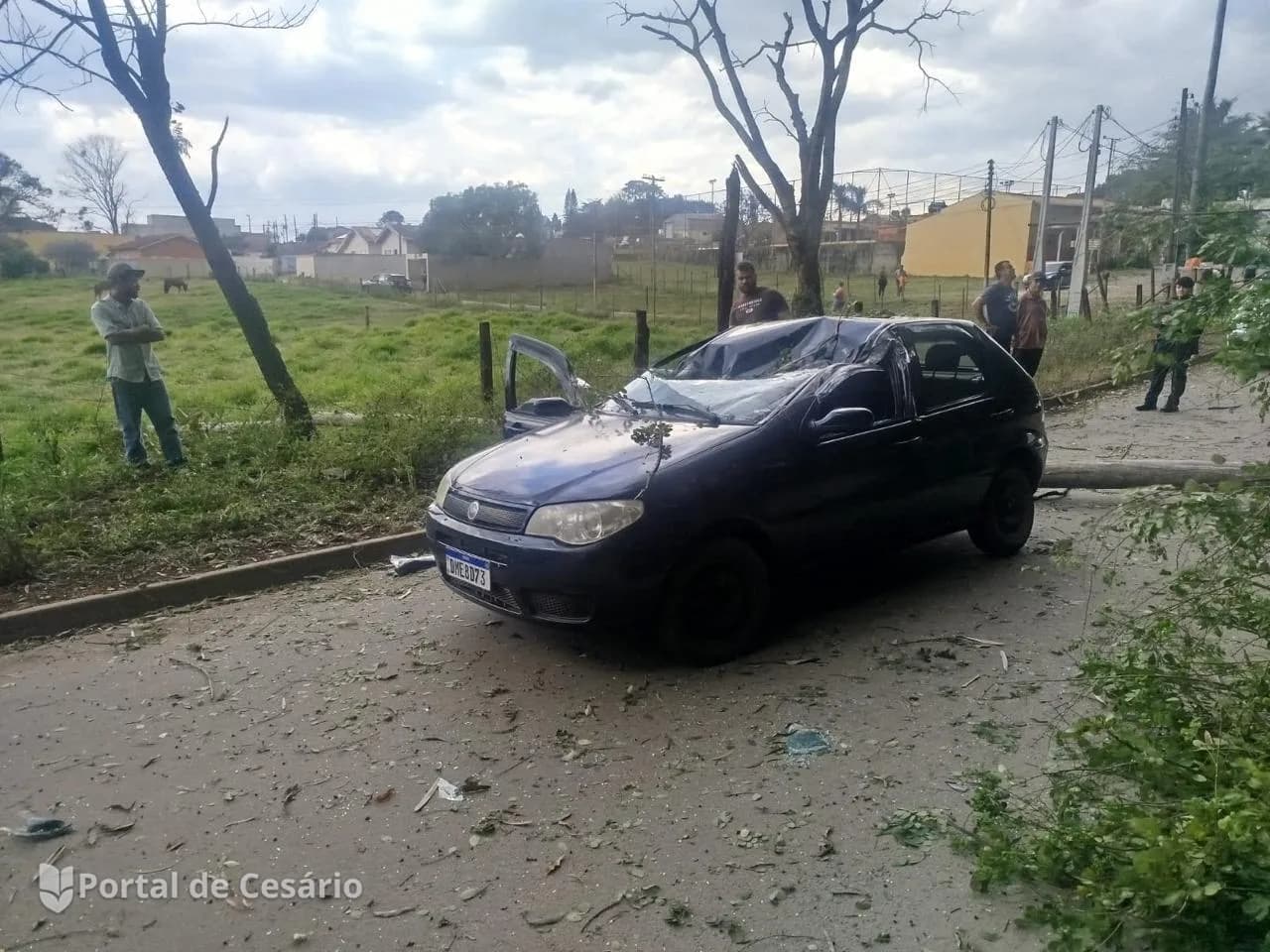 Queda de árvore atinge carro durante ventania em Cesário Lange — foto 2 de 2