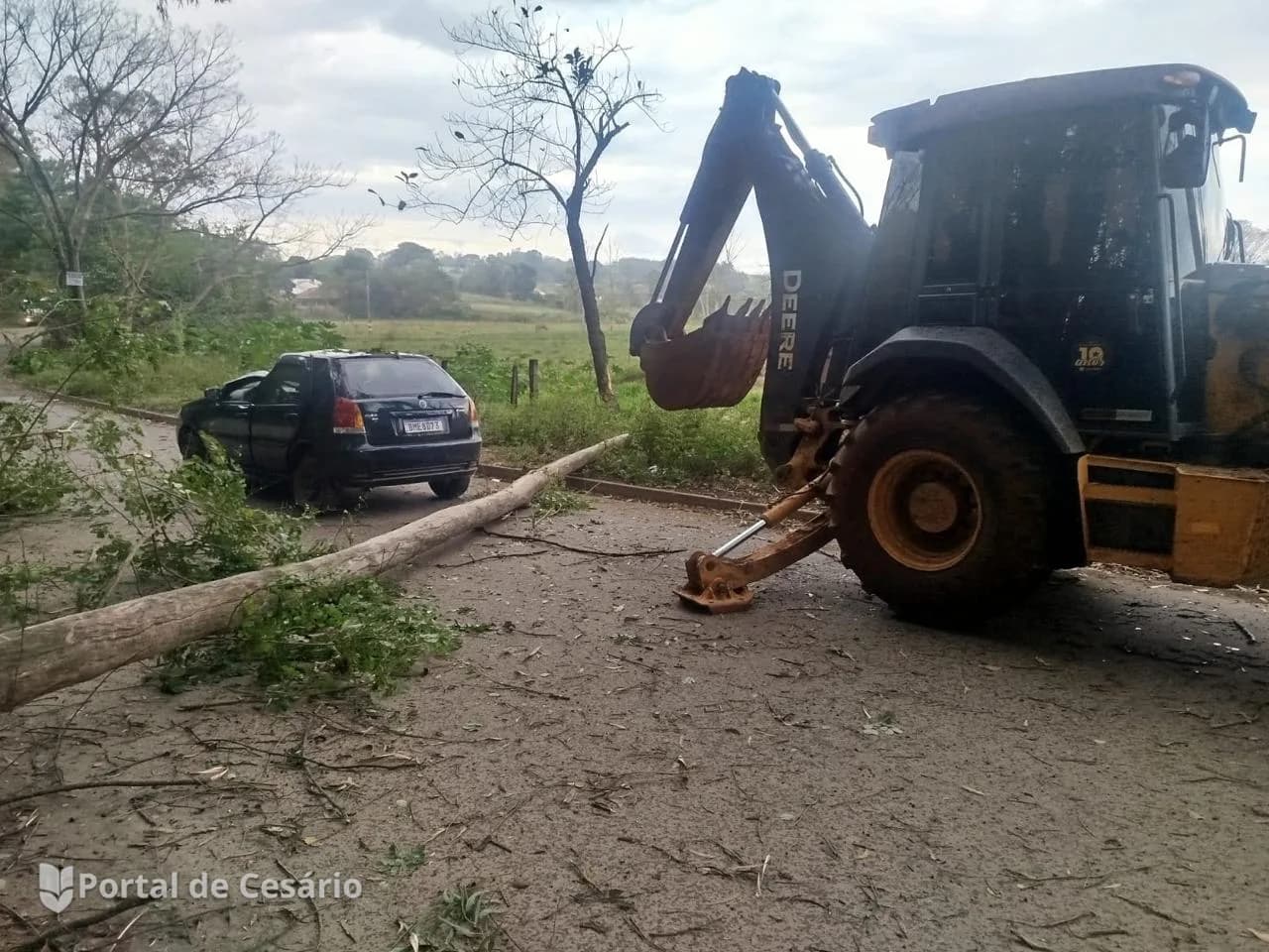 Queda de árvore atinge carro durante ventania em Cesário Lange — foto 1 de 2