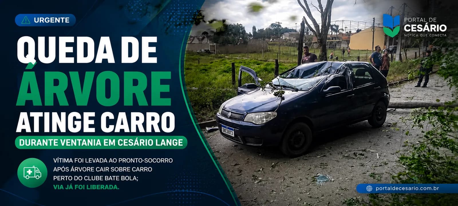 Queda de árvore atinge carro durante ventania em Cesário Lange