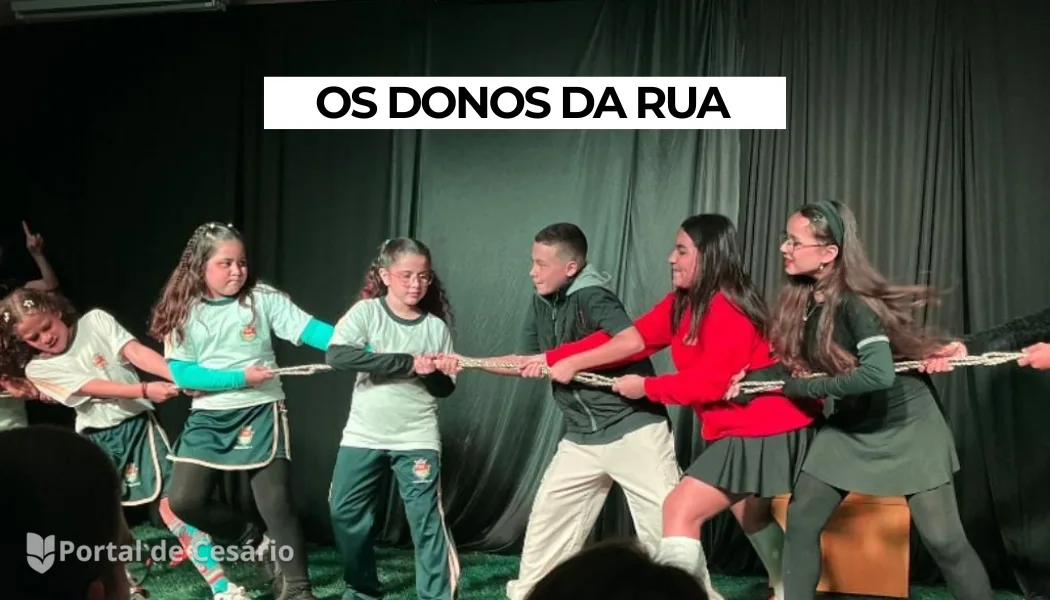 Os Donos da Rua