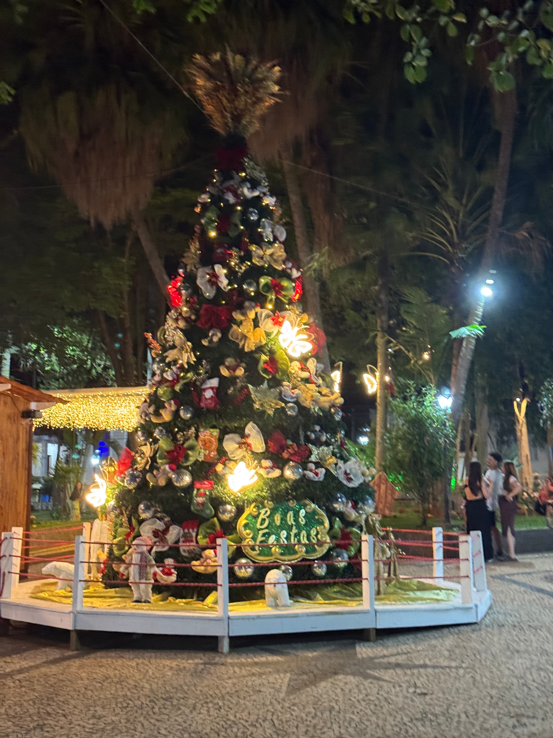 Véspera de Natal: Portal de Cesário deseja a todos um Feliz Natal!
